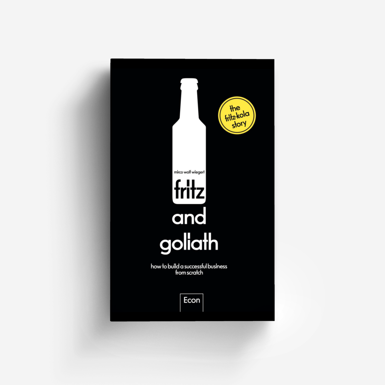 Buchcover von fritz and goliath