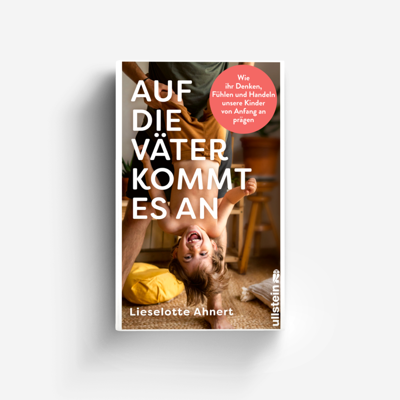 Buchcover von Auf die Väter kommt es an