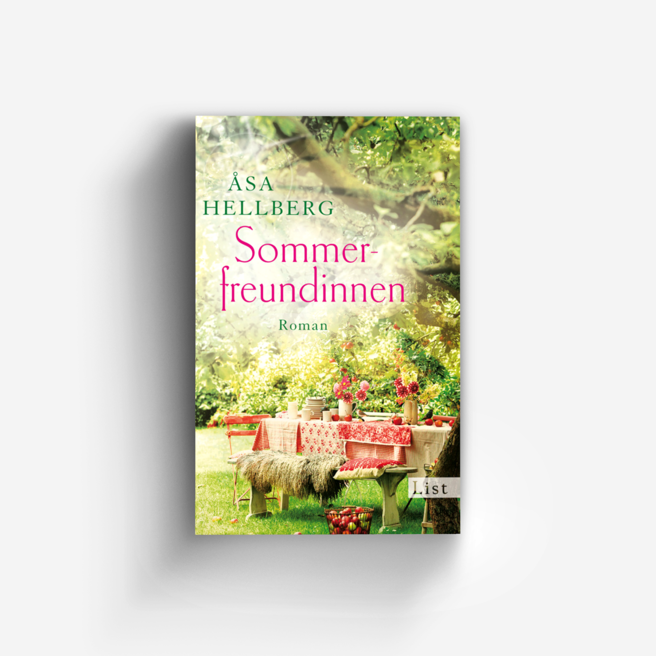 Buchcover von Sommerfreundinnen