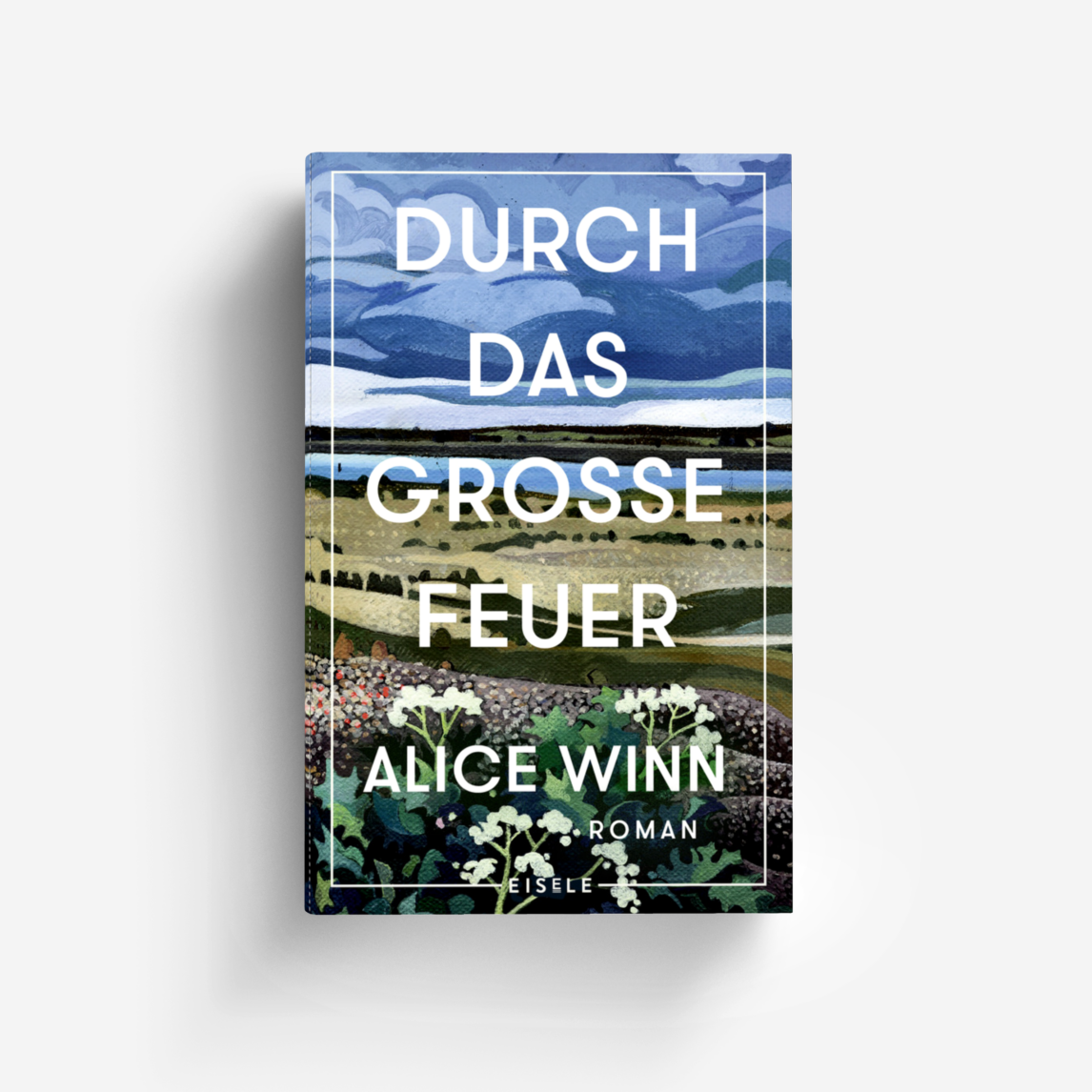 Buchcover von Durch das große Feuer