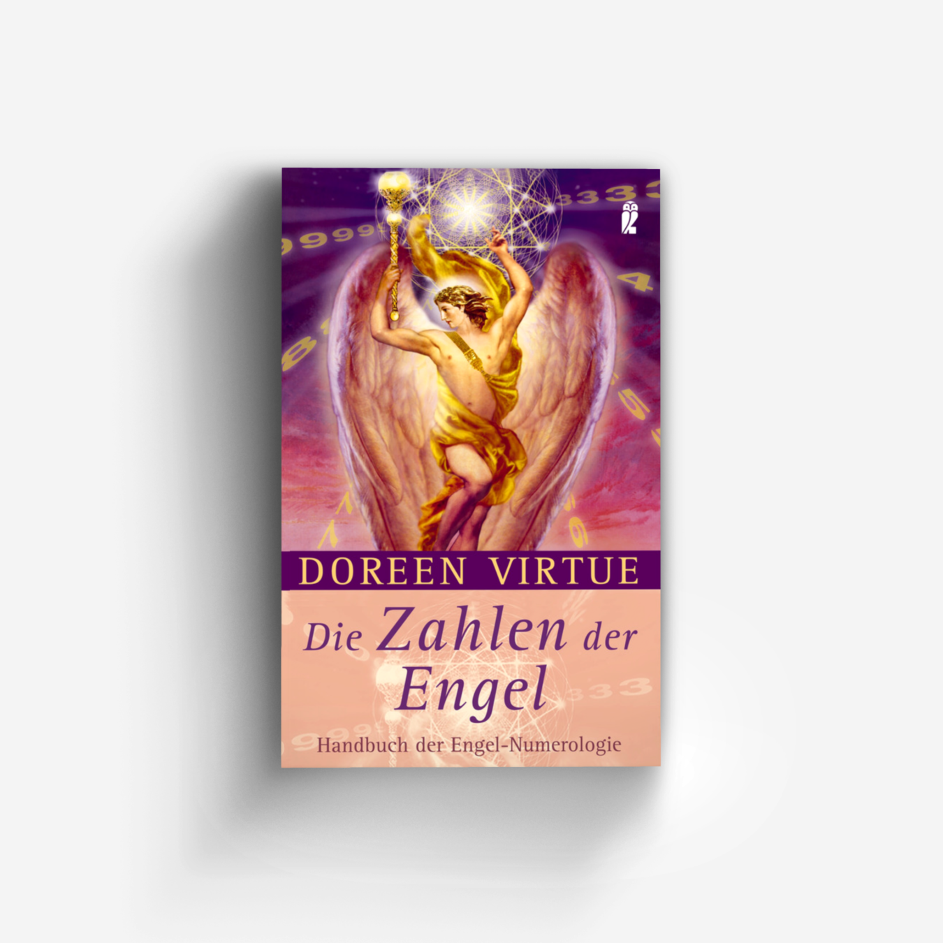 Buchcover von Die Zahlen der Engel