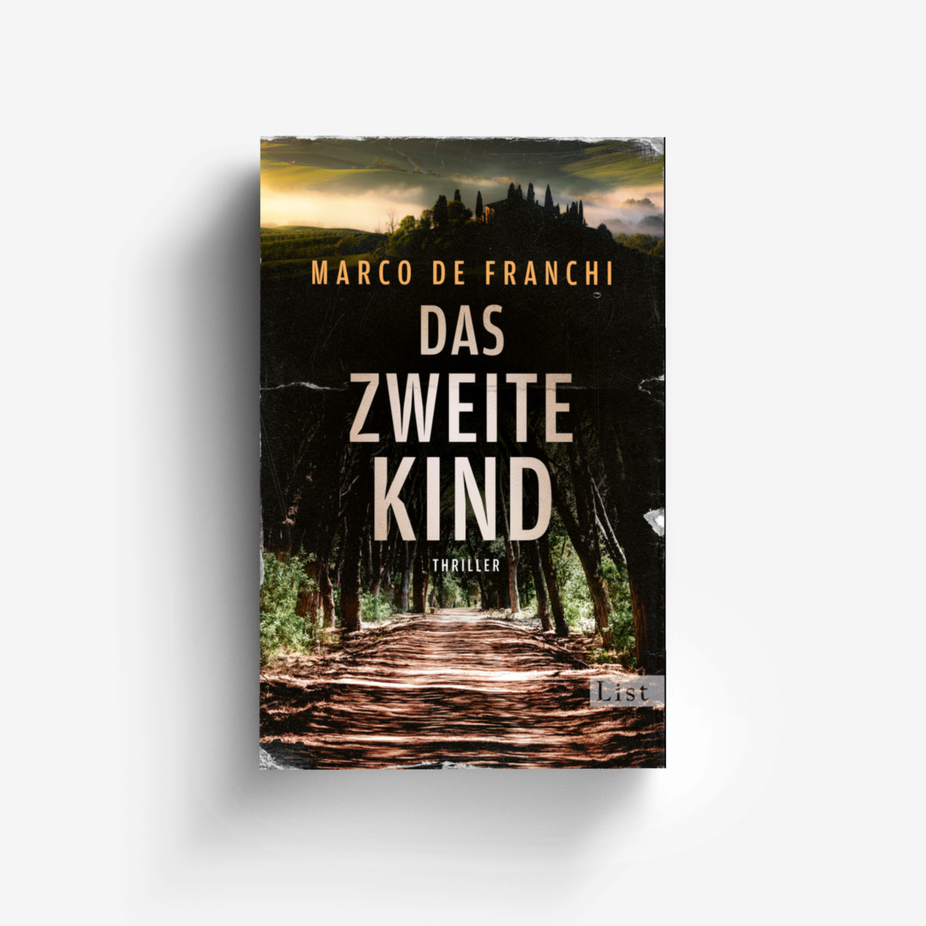 Buchcover von Das zweite Kind