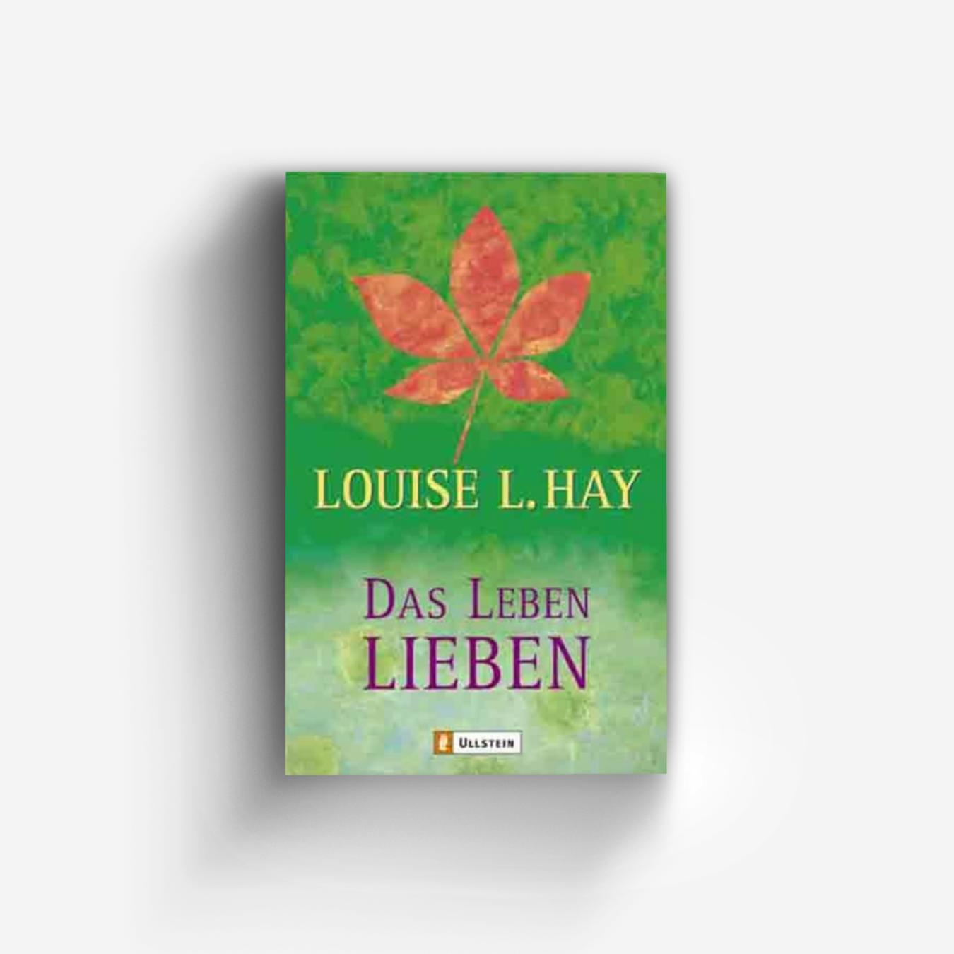 Buchcover von Das Leben lieben