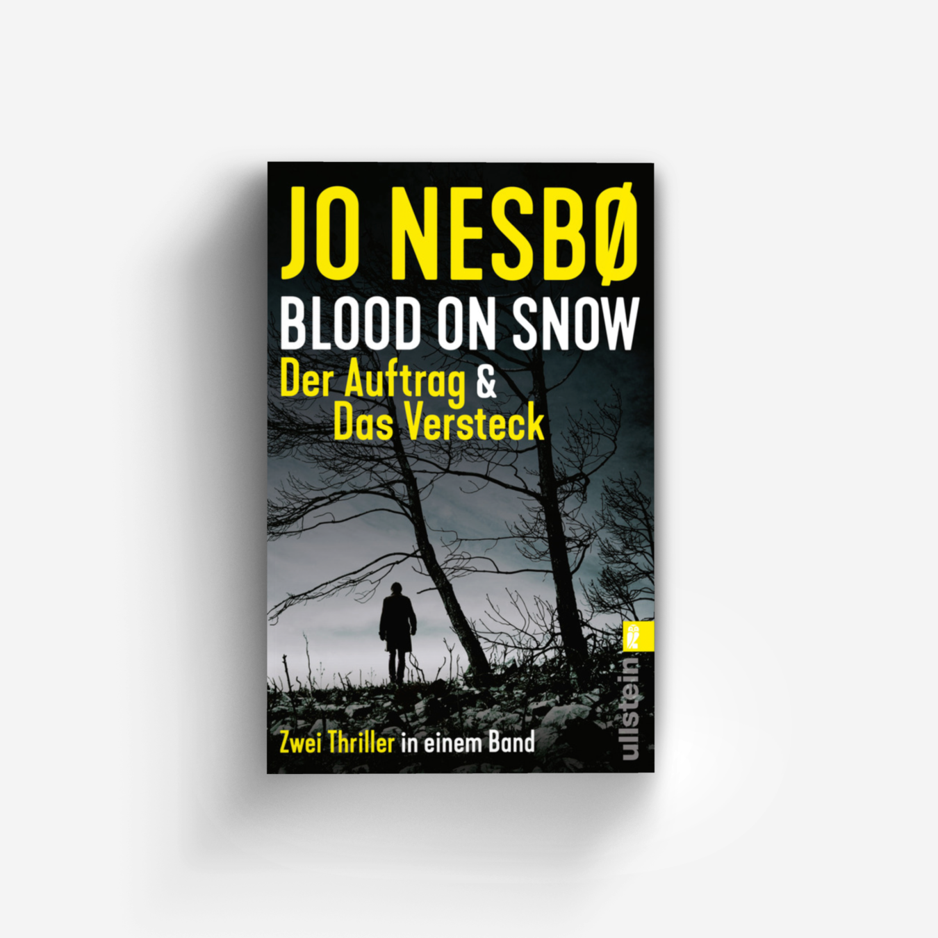 Buchcover von Blood on Snow. Der Auftrag & Das Versteck (Blood on Snow 1+2)