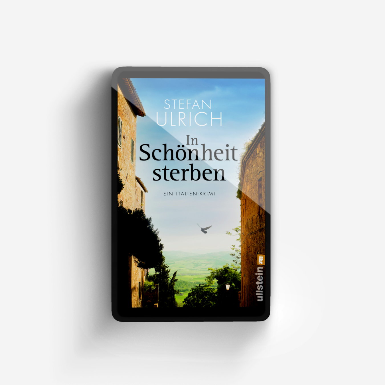 Buchcover von In Schönheit sterben