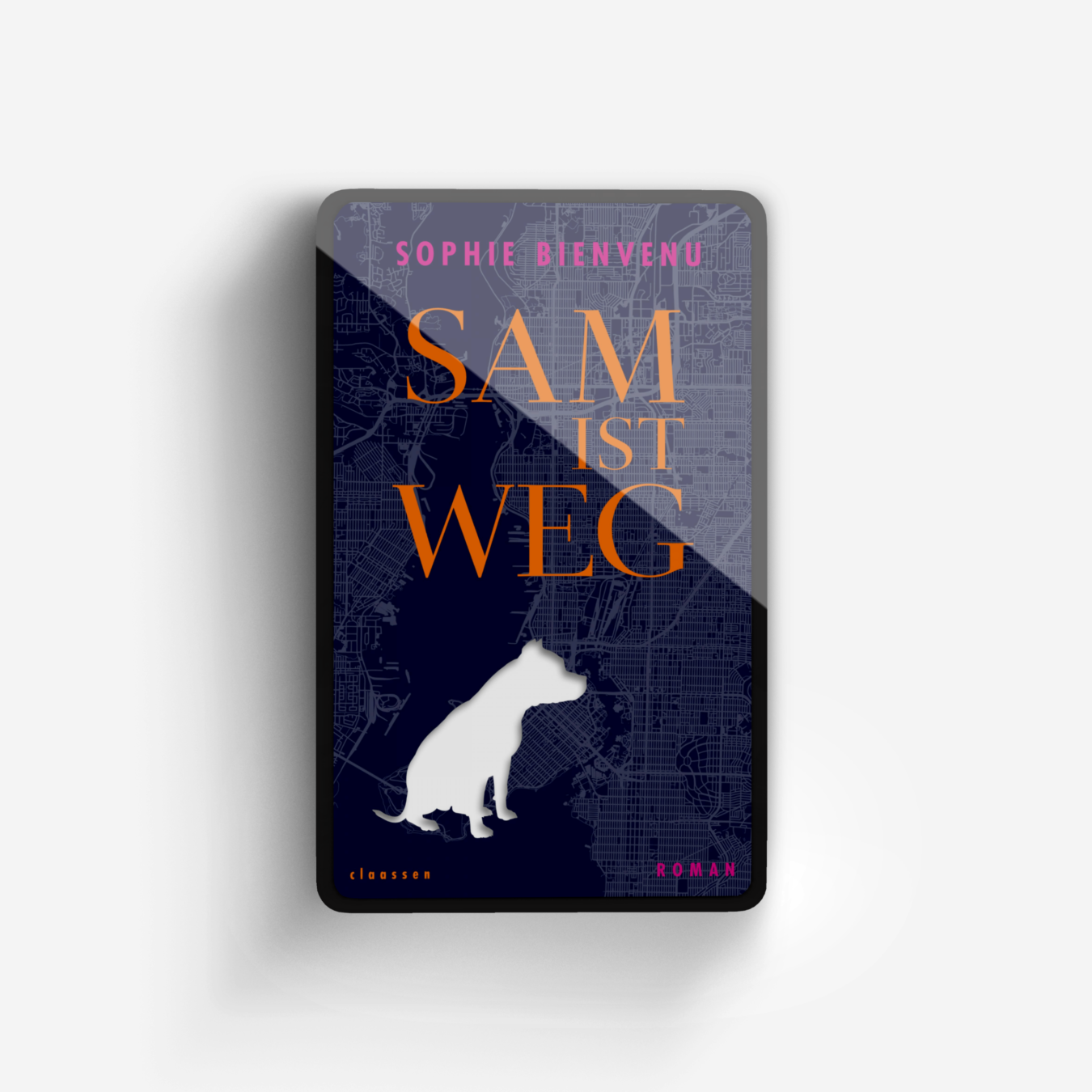 Buchcover von Sam ist weg