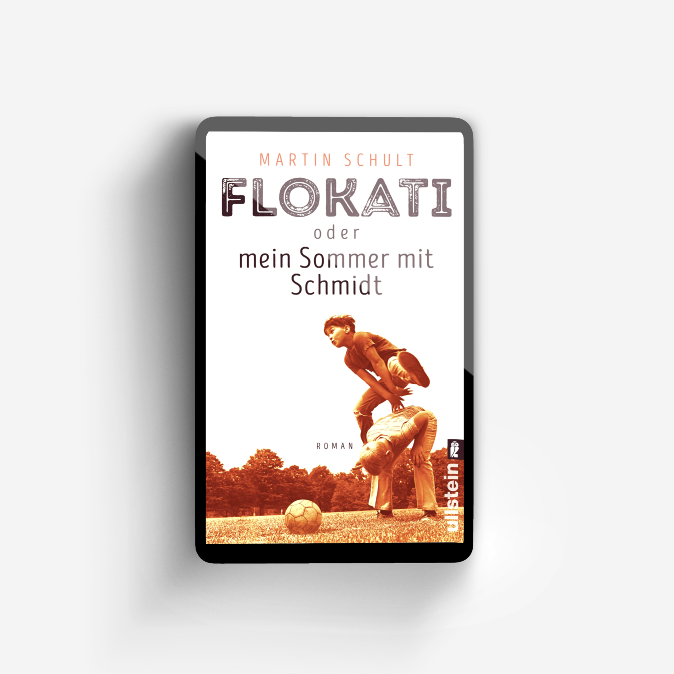 Buchcover von Flokati oder mein Sommer mit Schmidt