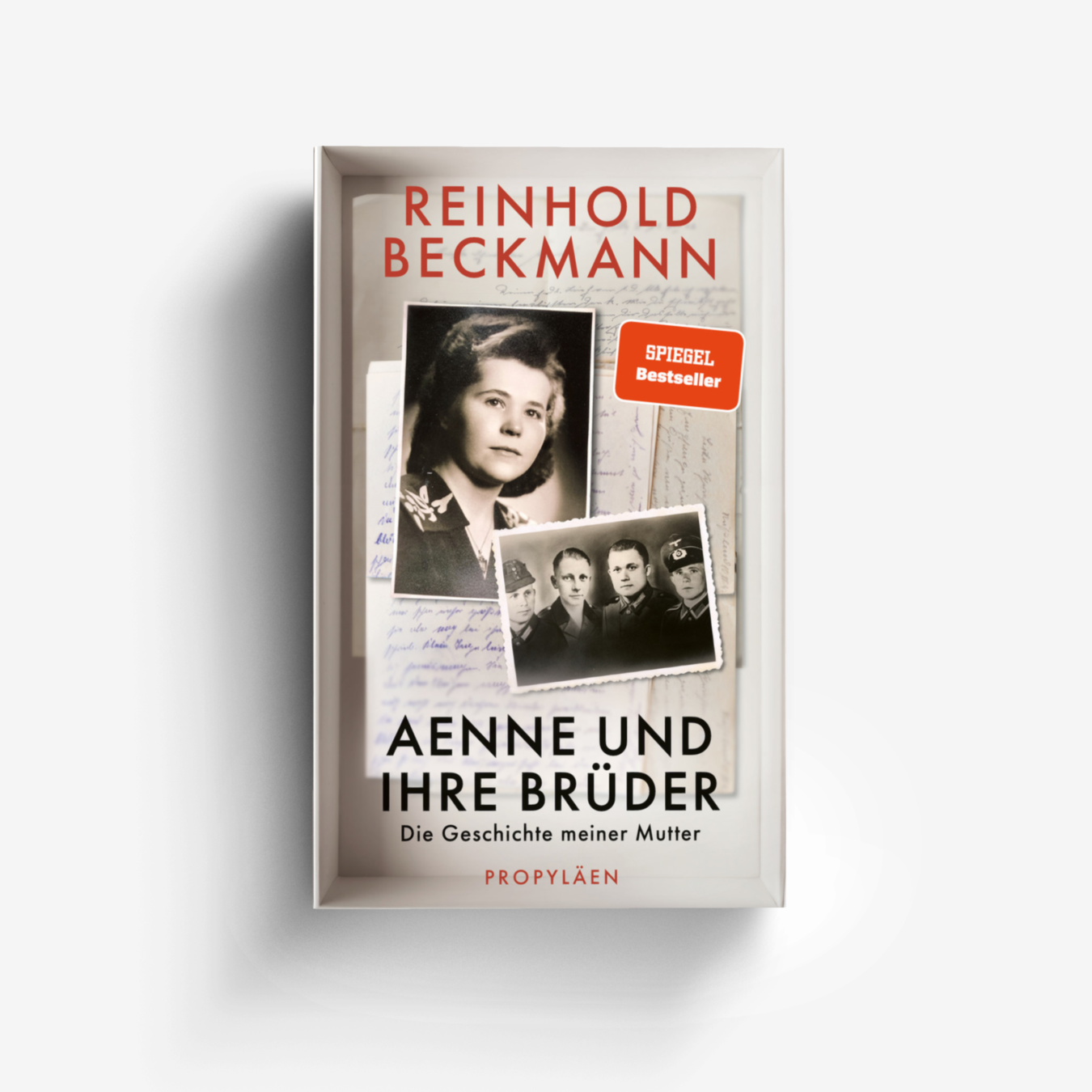 Buchcover von Aenne und ihre Brüder