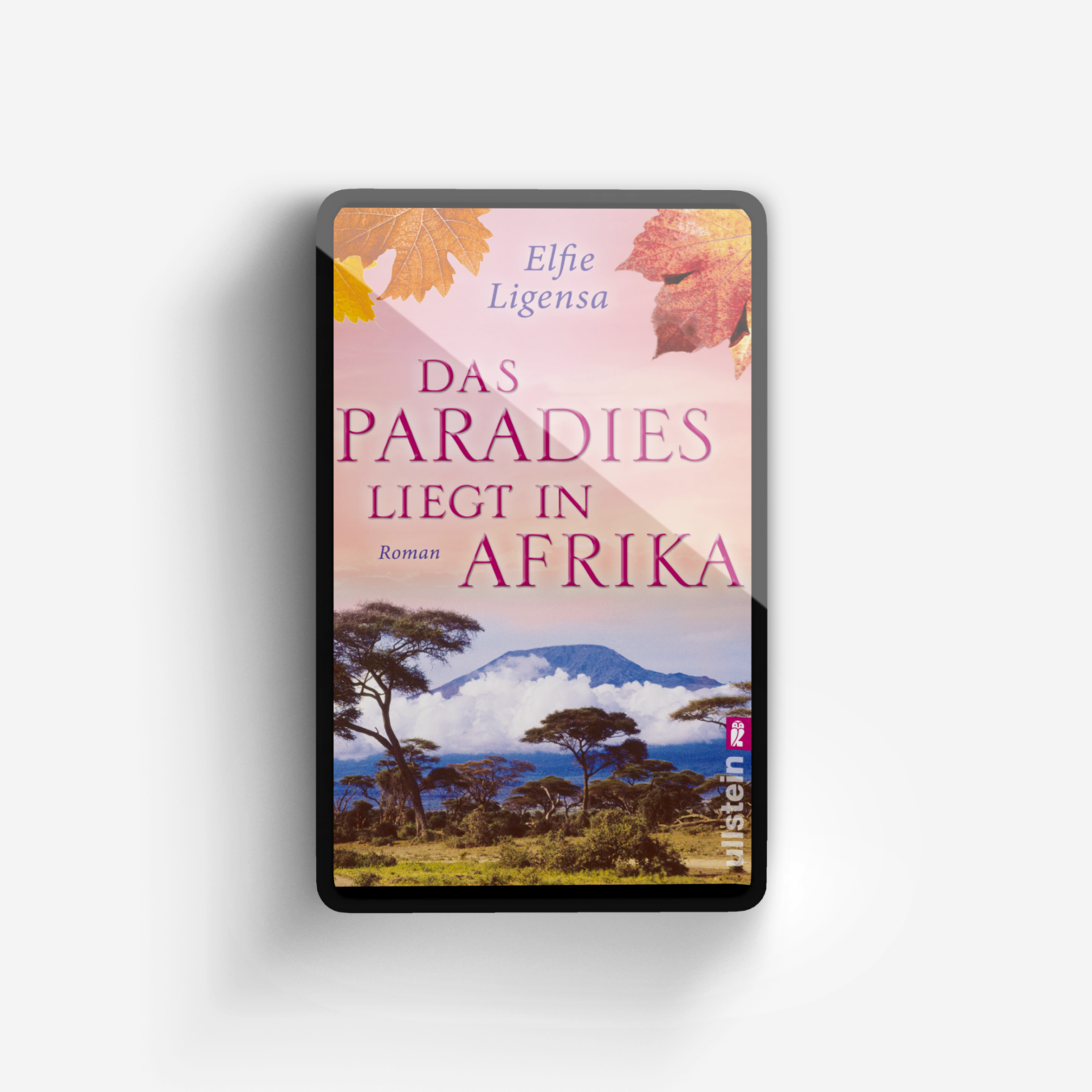 Buchcover von Das Paradies liegt in Afrika (Ein Südafrika-Roman 2)