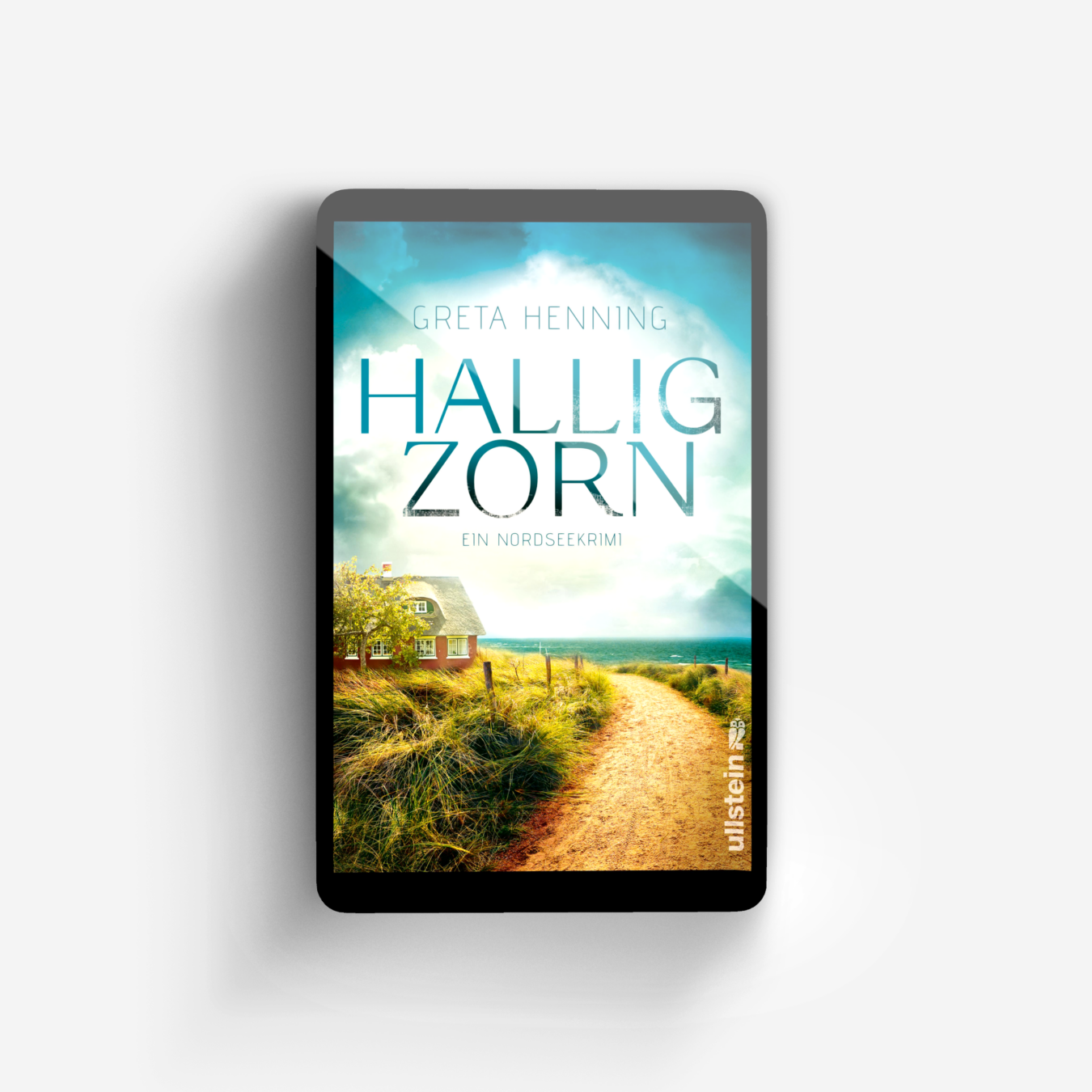 Buchcover von Halligzorn (Ein Minke-van-Hoorn-Krimi 2)