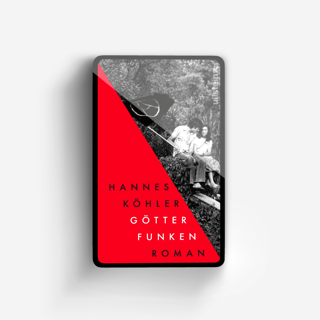 Buchcover von Götterfunken