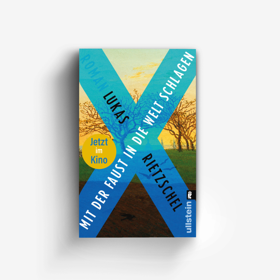 Buchcover von Mit der Faust in die Welt schlagen