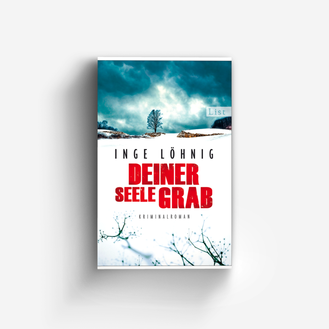 Buchcover von Deiner Seele Grab (Ein Kommissar-Dühnfort-Krimi 6)