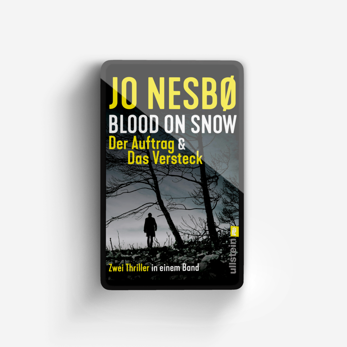 Buchcover von Blood on Snow. Der Auftrag & Das Versteck (Blood on Snow 1+2)