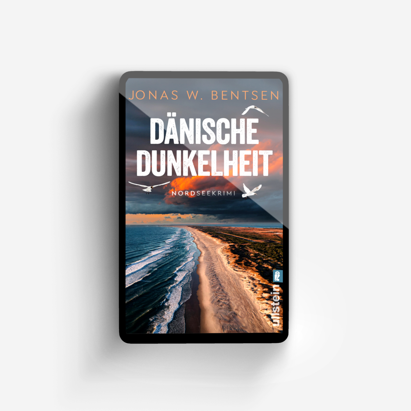 Buchcover von Dänische Dunkelheit