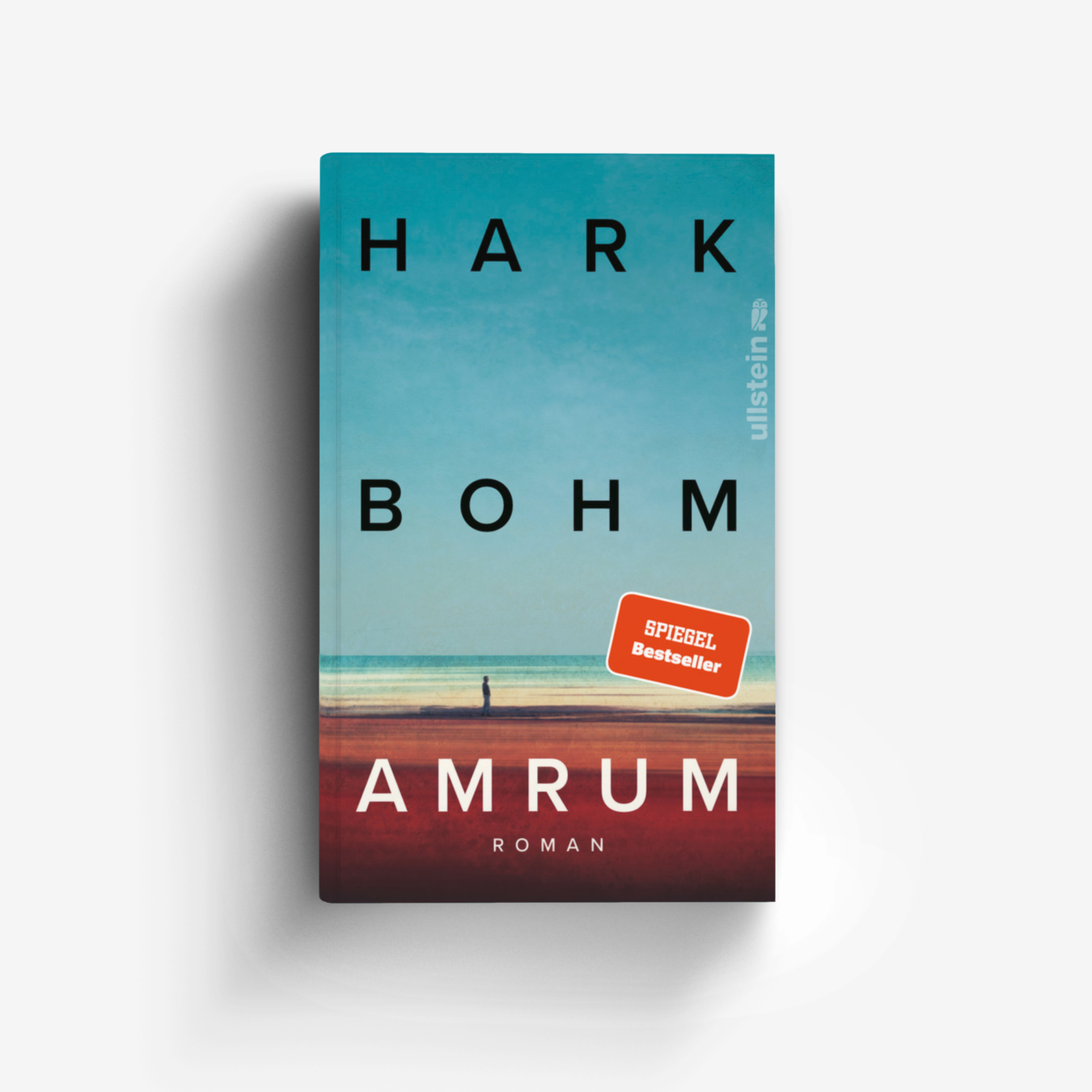 Buchcover von Amrum