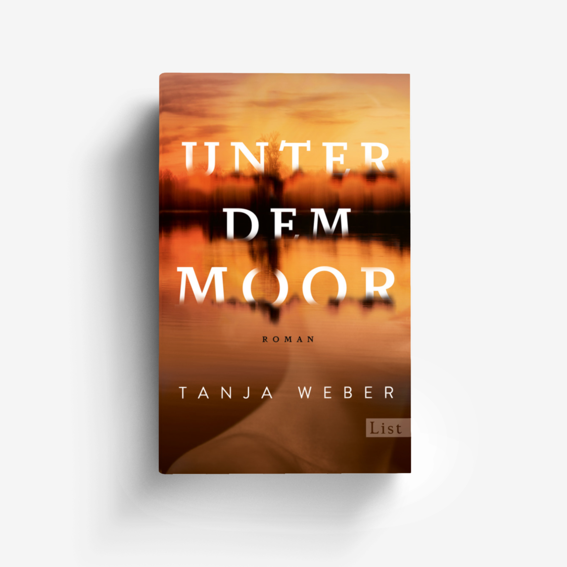 Buchcover von Unter dem Moor