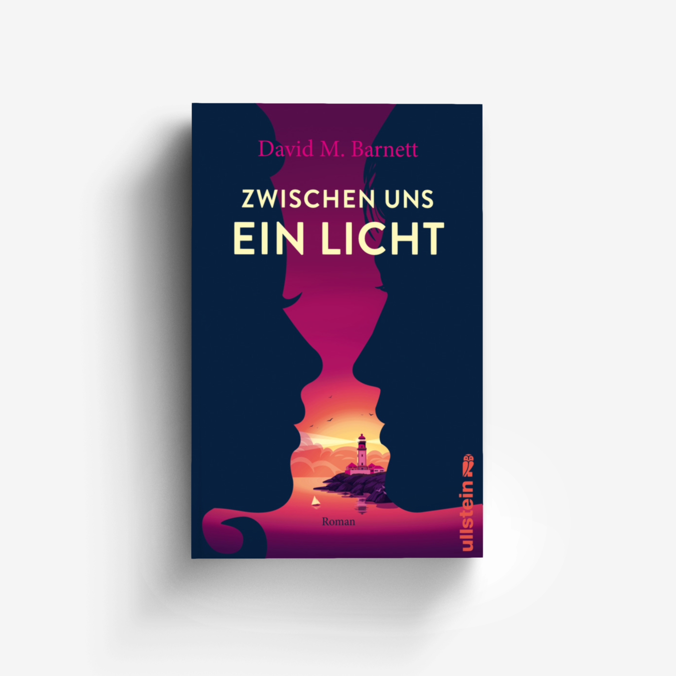 Buchcover von Zwischen uns ein Licht