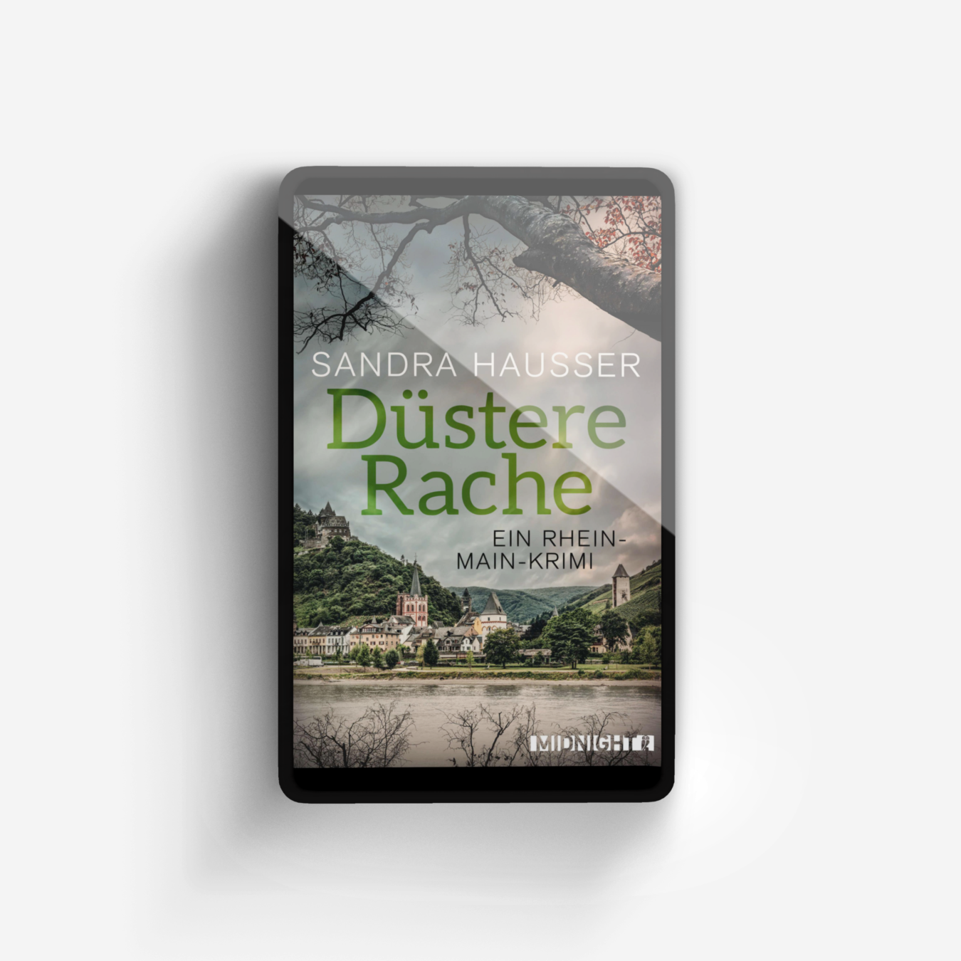 Buchcover von Düstere Rache (Rhein-Main-Krimi 3)