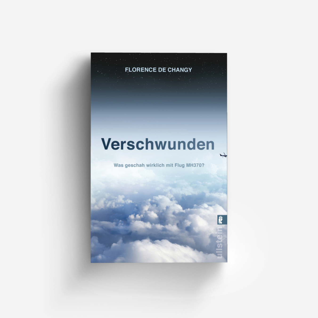 Buchcover von Verschwunden