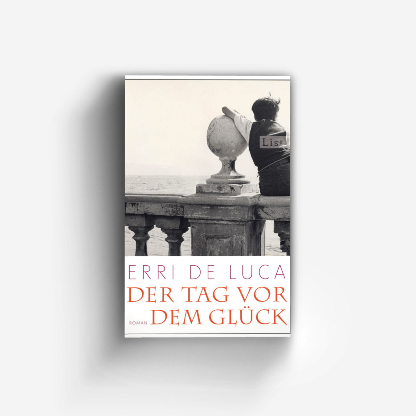 Buchcover von Der Tag vor dem Glück