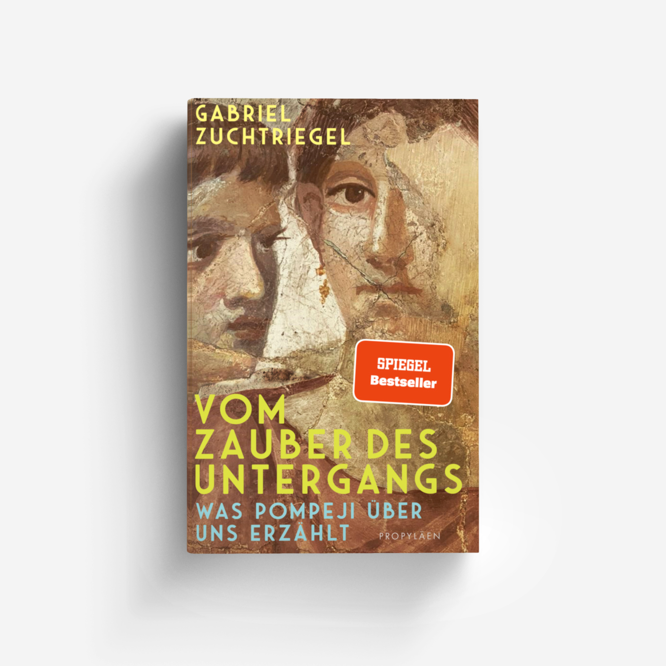 Buchcover von Vom Zauber des Untergangs