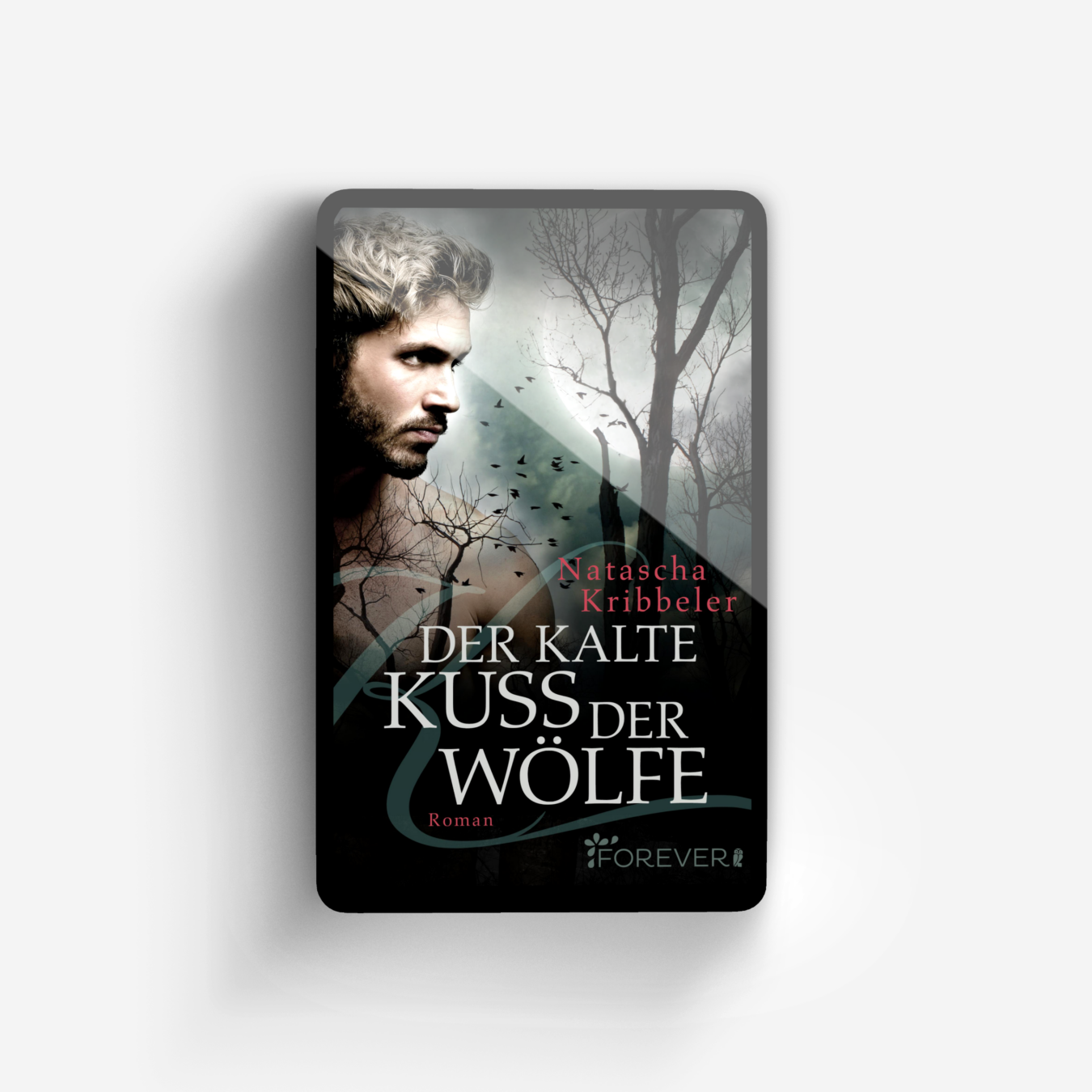 Buchcover von Der kalte Kuss der Wölfe (Jandor der Vampir 1)