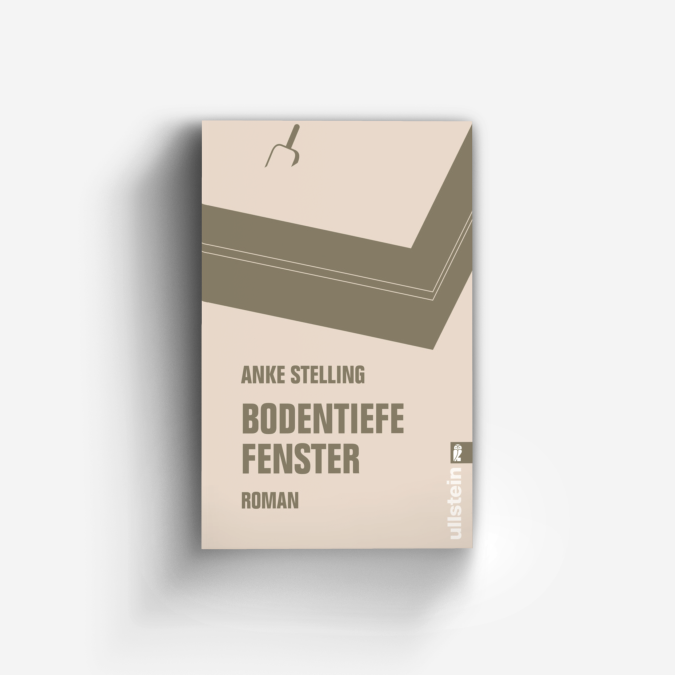 Buchcover von Bodentiefe Fenster