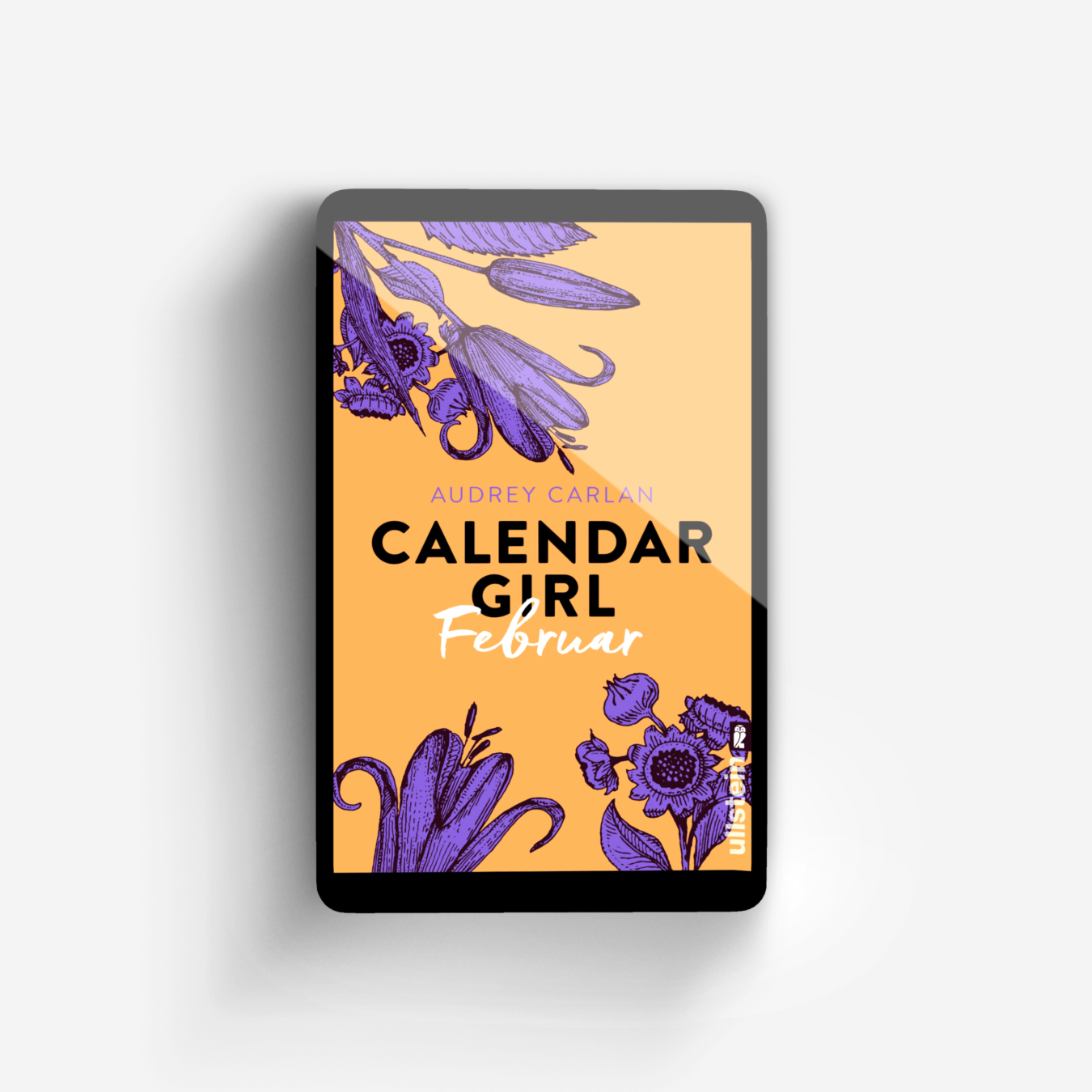 Buchcover von Calendar Girl Februar (Calendar Girl Buch 2)