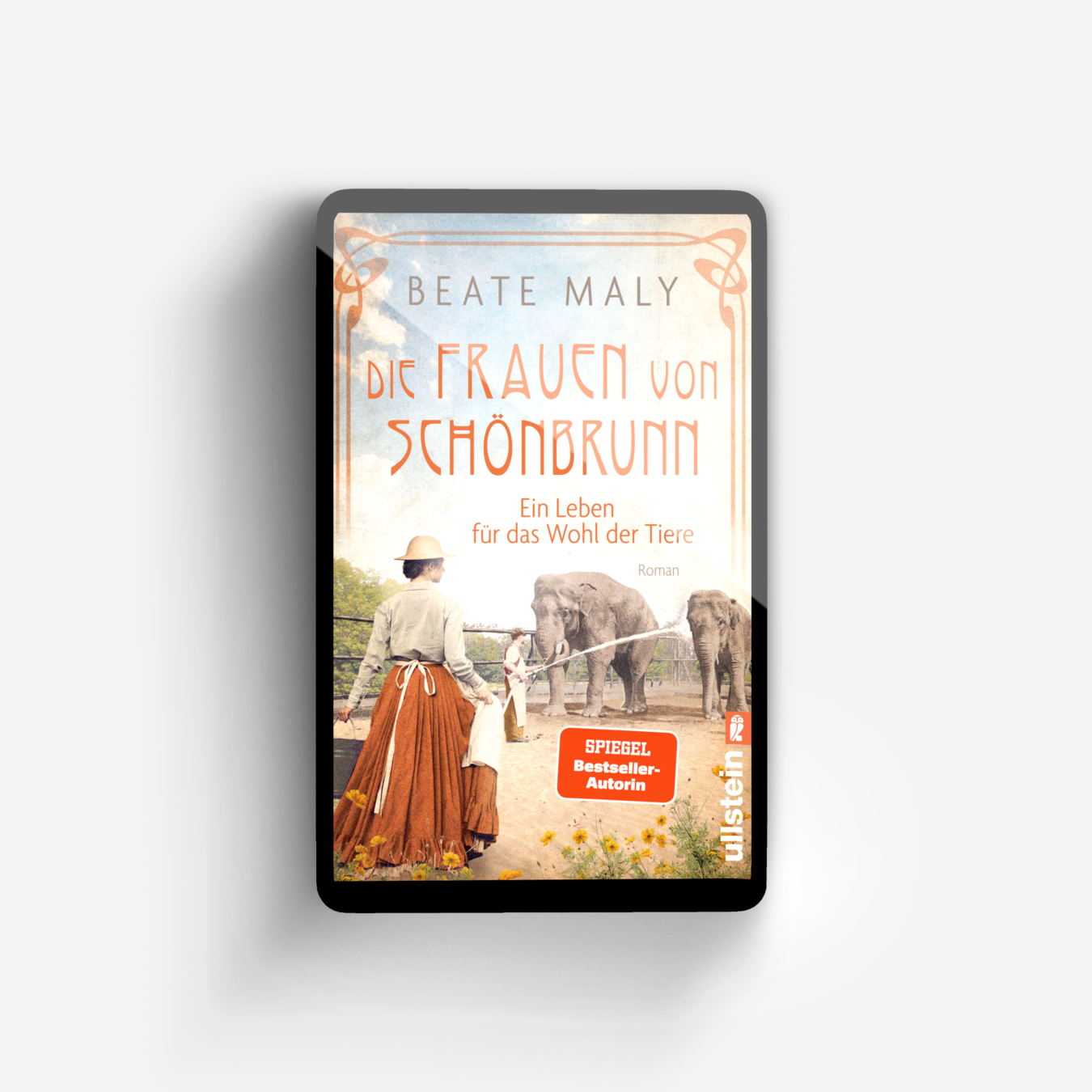 Buchcover von Die Frauen von Schönbrunn (Die Schönbrunn-Saga 1)