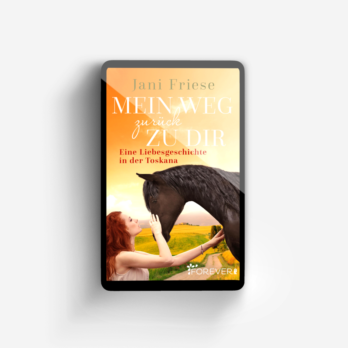 Buchcover von Mein Weg zurück zu dir