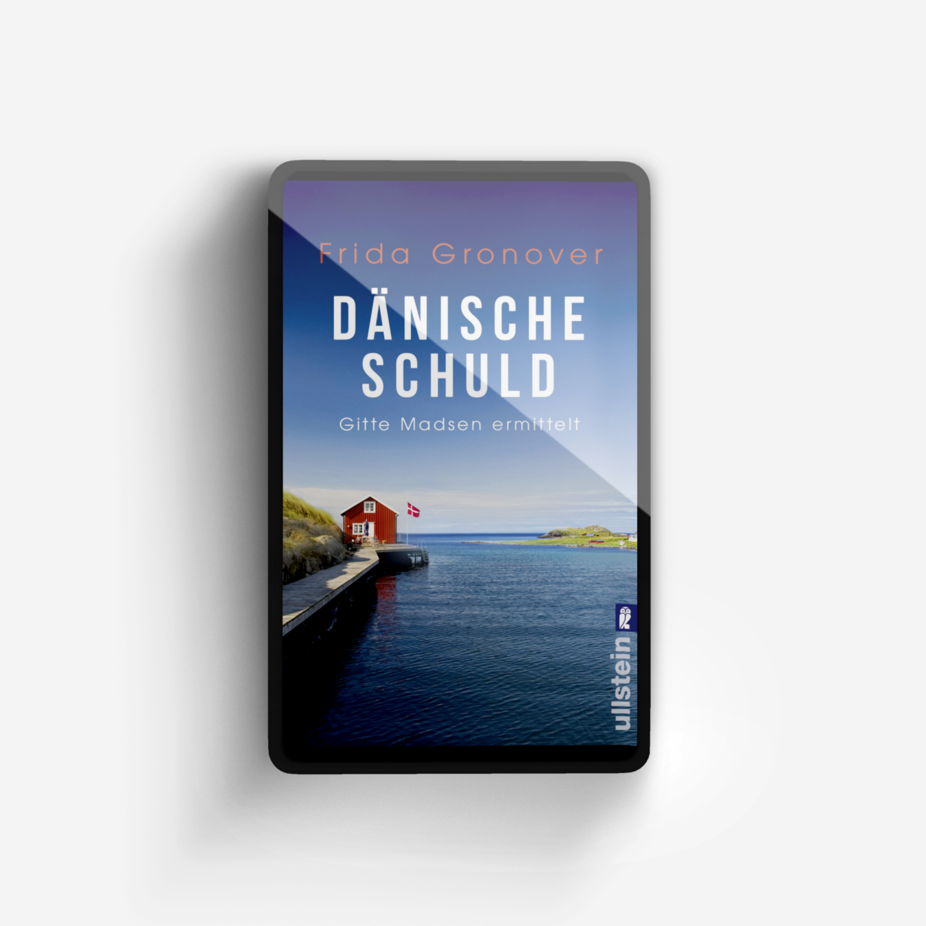 Buchcover von Dänische Schuld (Ein Gitte-Madsen-Krimi 2)
