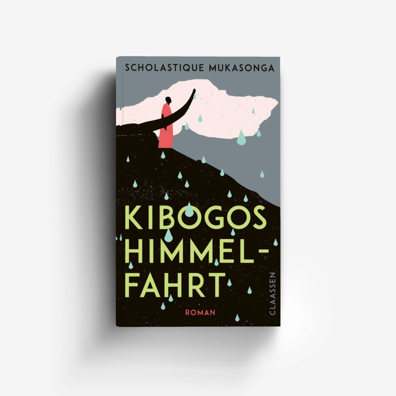 Buchcover von Kibogos Himmelfahrt