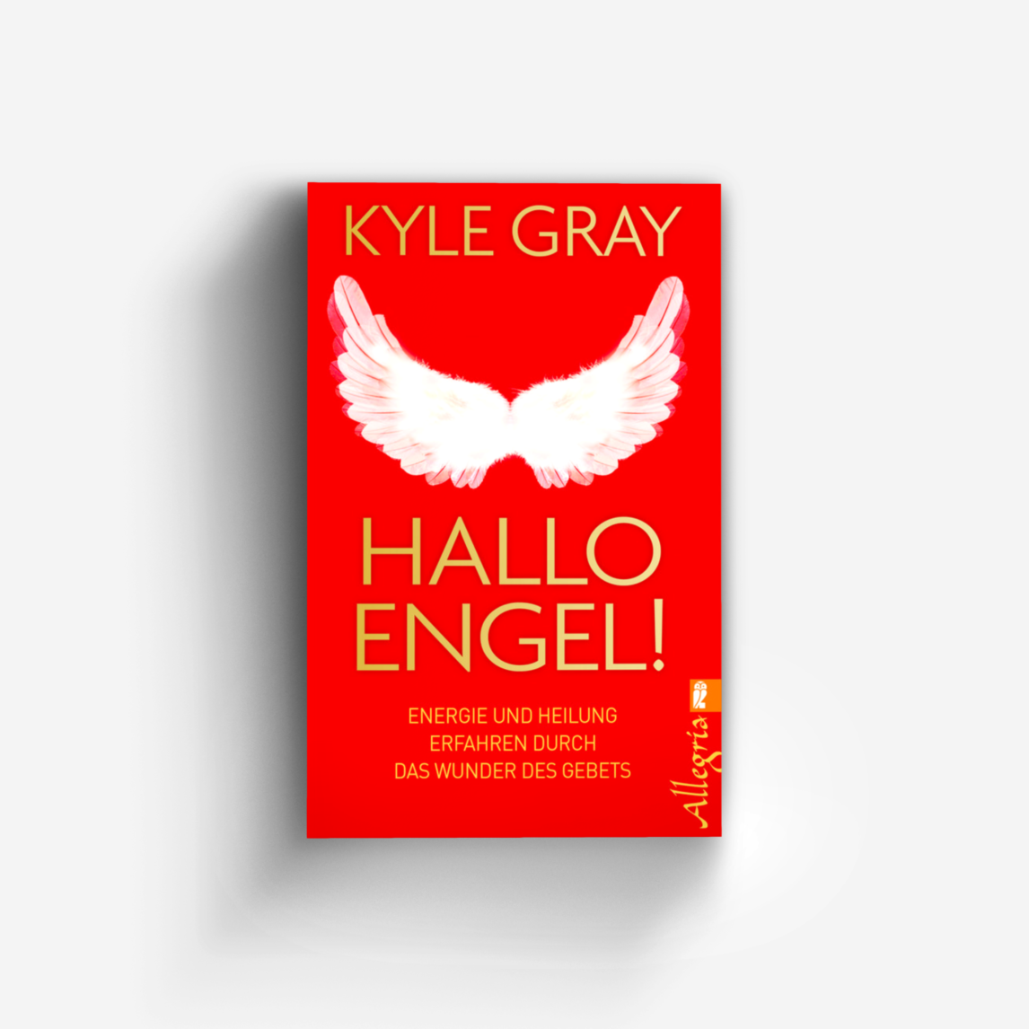 Buchcover von Hallo Engel!