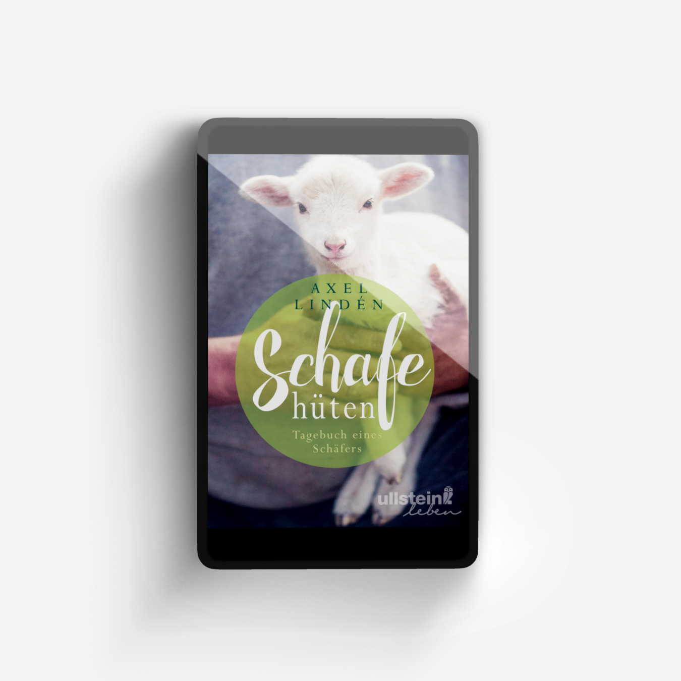 Buchcover von Schafe hüten