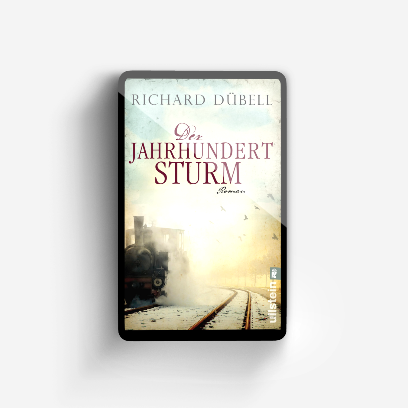 Buchcover von Der Jahrhundertsturm (Jahrhundertsturm-Serie 1)