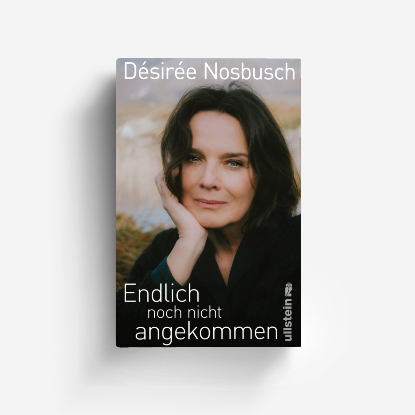 Buchcover von Endlich noch nicht angekommen