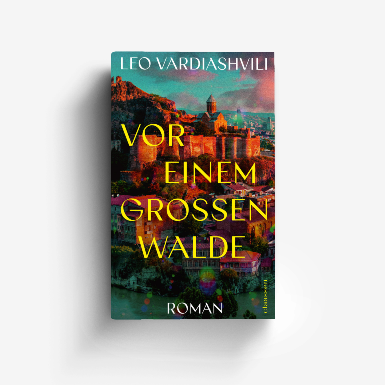 Buchcover von Vor einem großen Walde