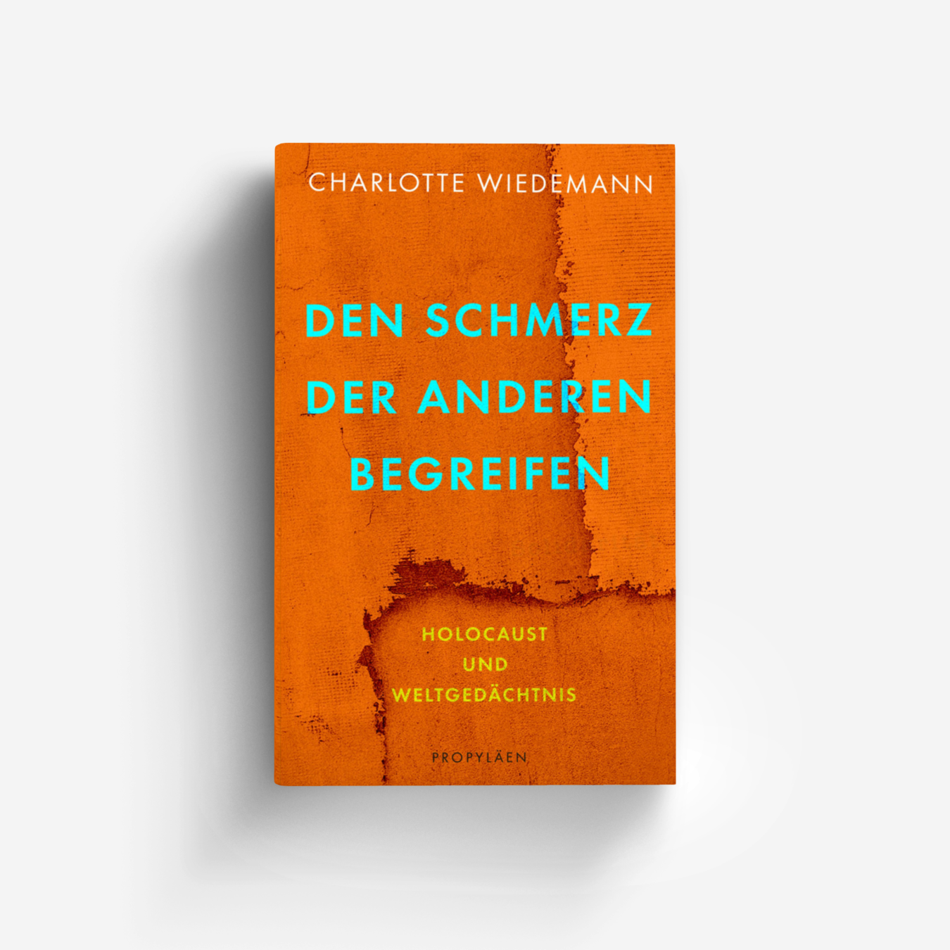 Buchcover von Den Schmerz der Anderen begreifen