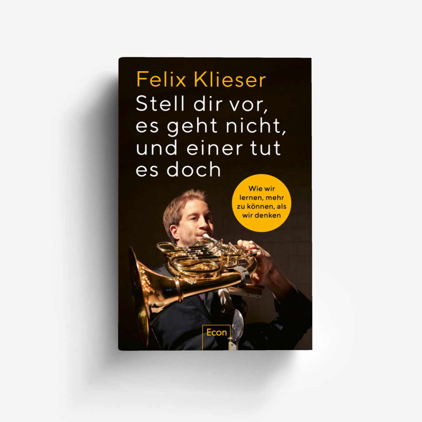 Buchcover von Stell dir vor, es geht nicht, und einer tut es doch