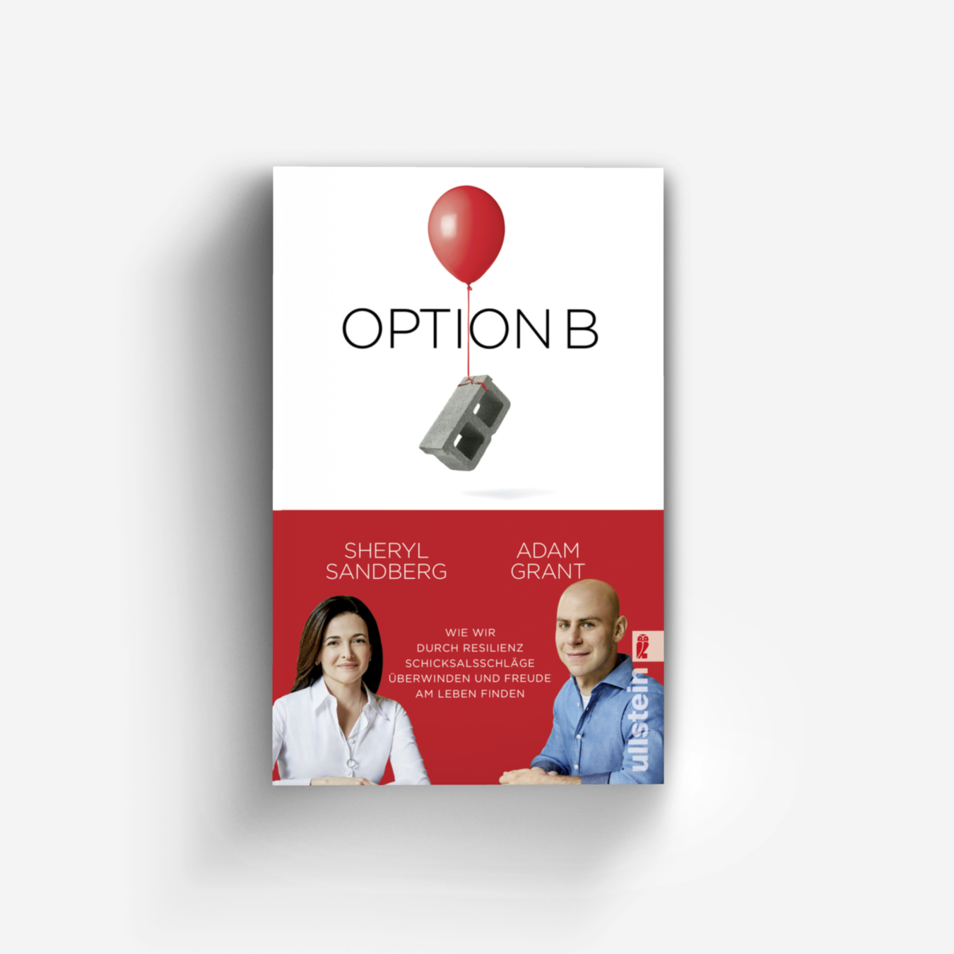 Buchcover von Option B