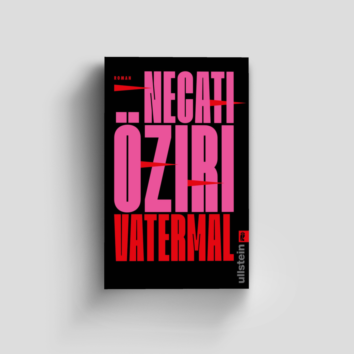 Buchcover von Vatermal