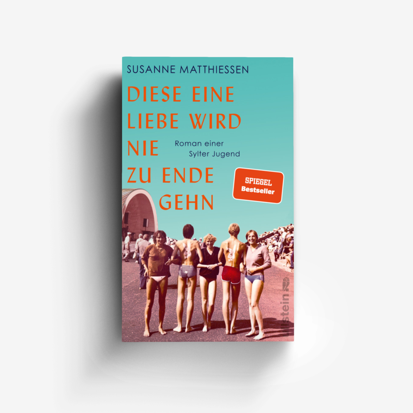 Buchcover von Diese eine Liebe wird nie zu Ende gehn