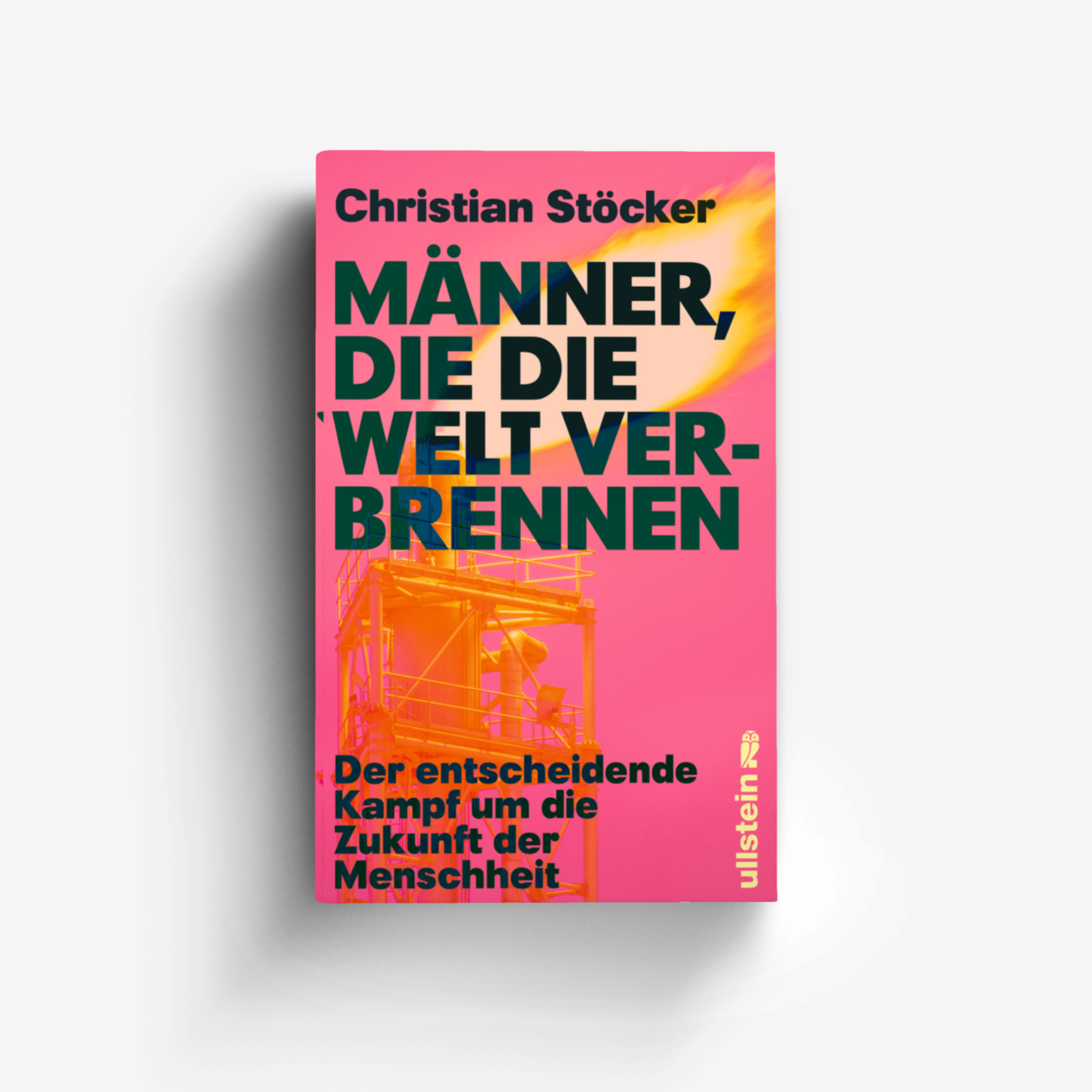 Buchcover von Männer, die die Welt verbrennen