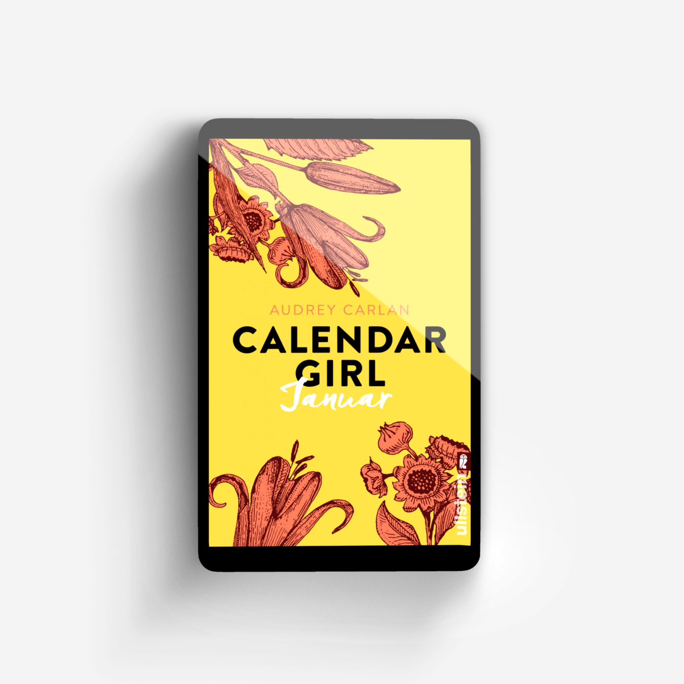 Buchcover von Calendar Girl Januar (Calendar Girl Buch 1)