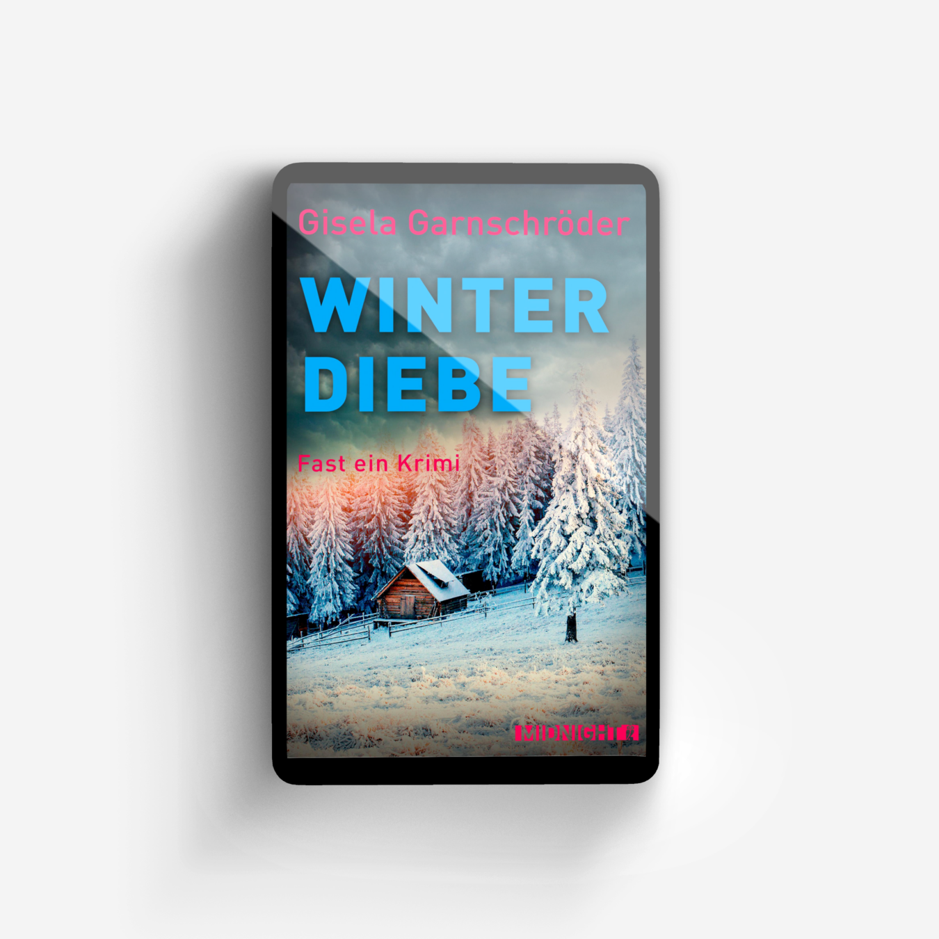 Buchcover von Winterdiebe