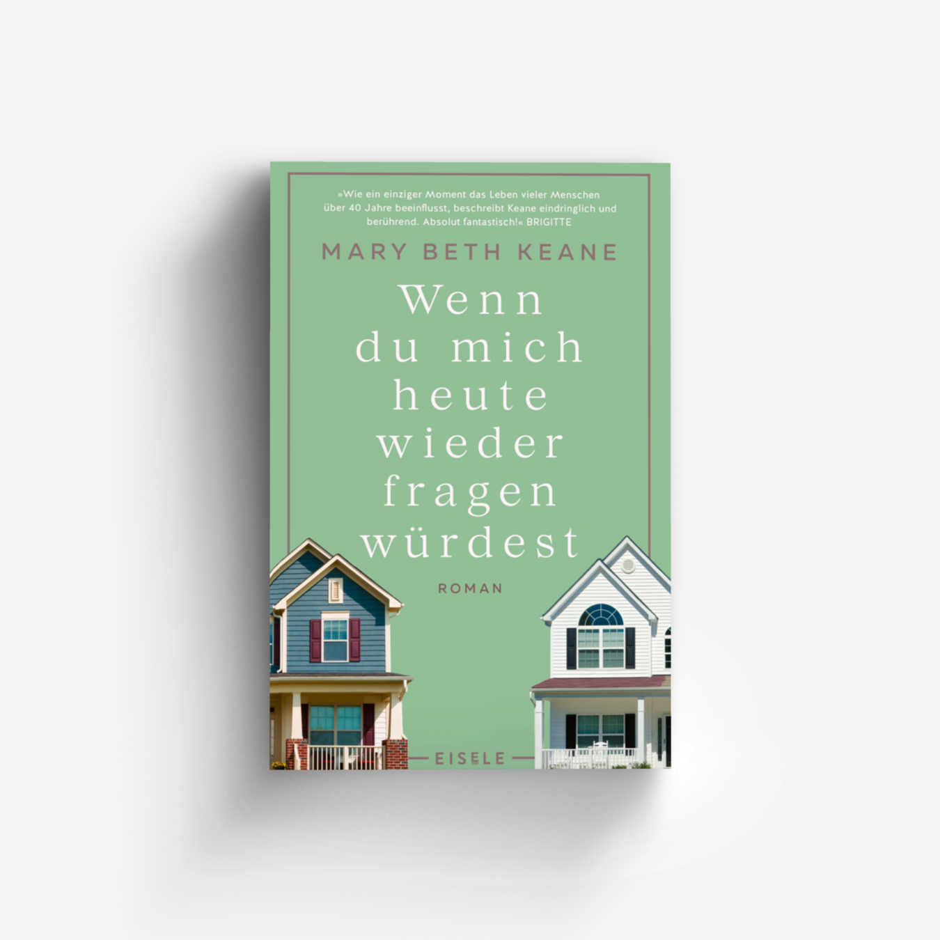 Buchcover von Wenn du mich heute wieder fragen würdest