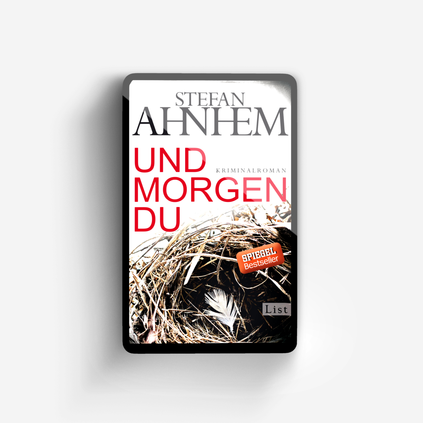 Buchcover von Und morgen du (Ein Fabian-Risk-Krimi 1)