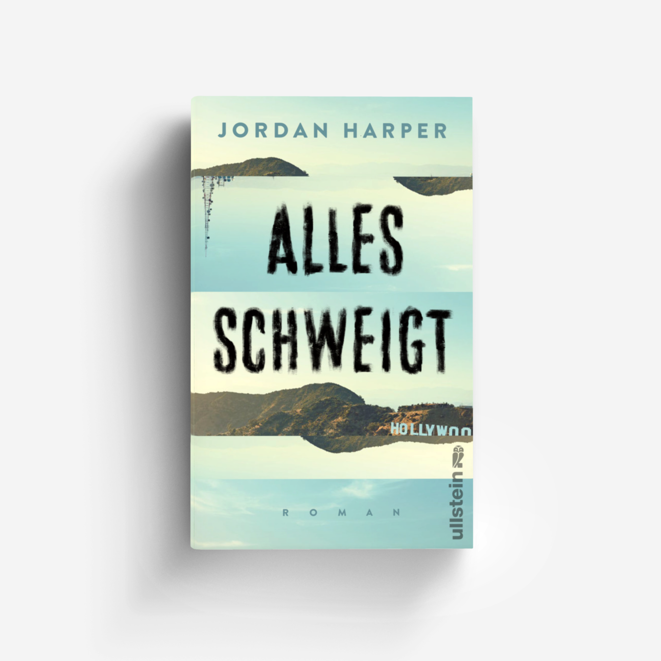 Buchcover von Alles schweigt