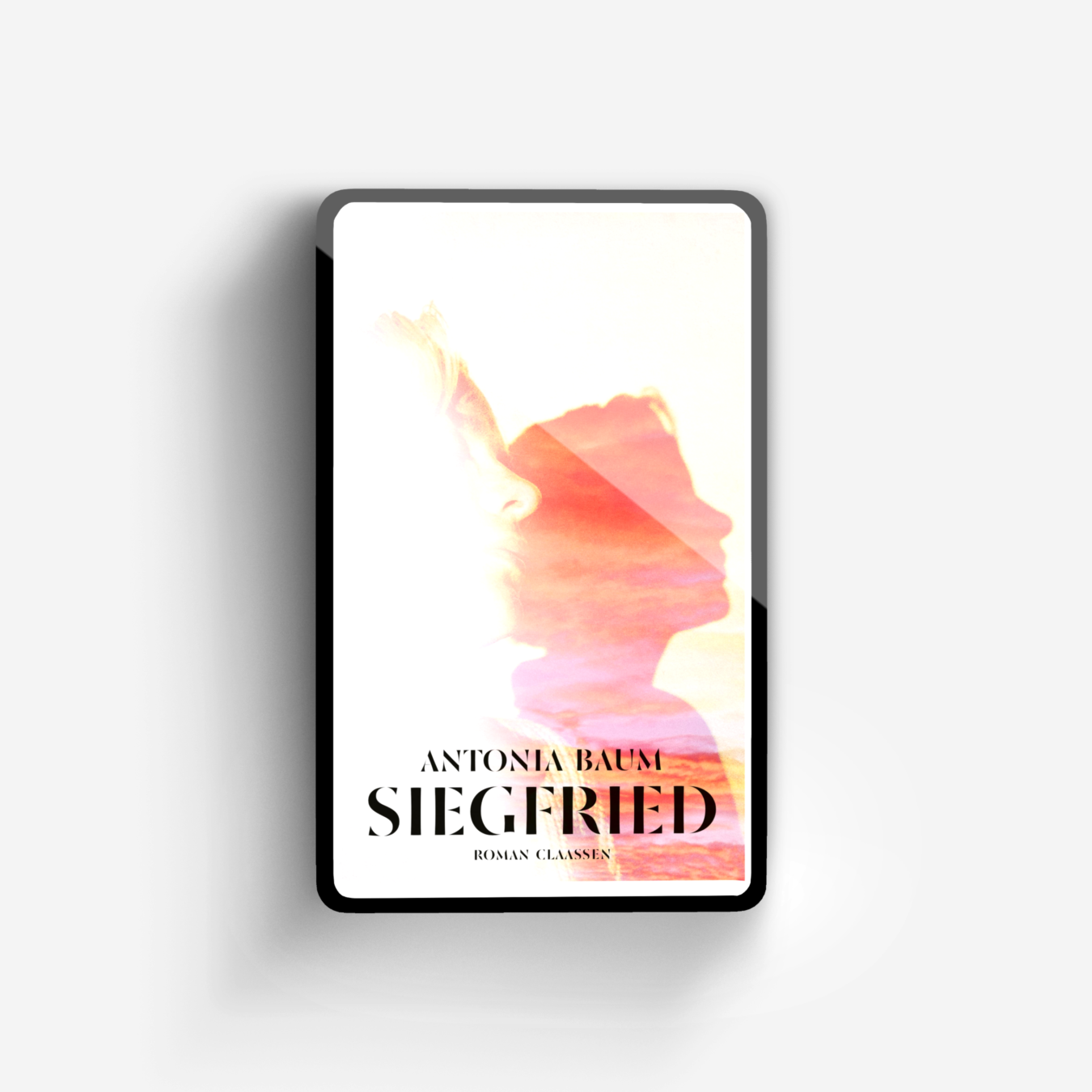 Buchcover von Siegfried
